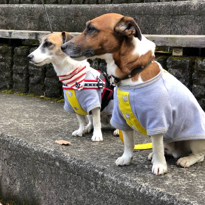 422db8c2 f505 419b 928b 5032472ba262 1545639066627