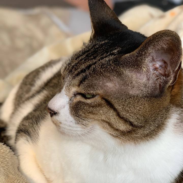 422dc95b 977e 4666 99c3 4cb8f055bddd 1588381340195