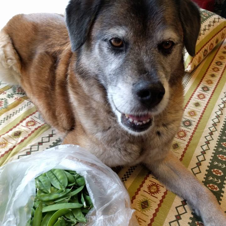 422dfa25 af3e 471f bea4 4eb4e9b92af2 1524825850738