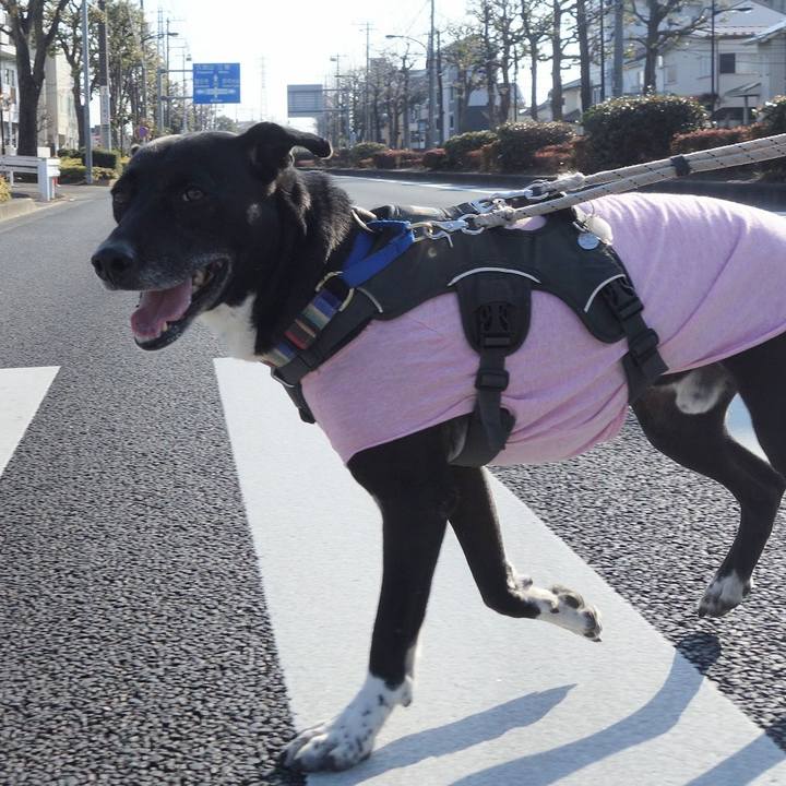 422e26b6 15aa 4172 81cd 013540b57e79 1645926111326