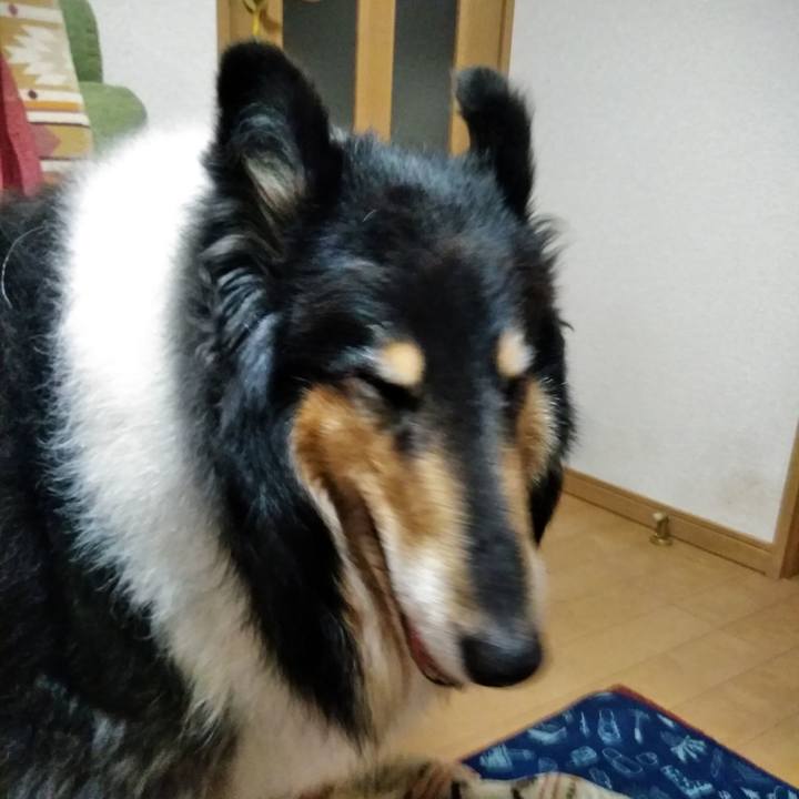 422e437e ceba 43bb 9dd5 208e1f577a74 1524317470093