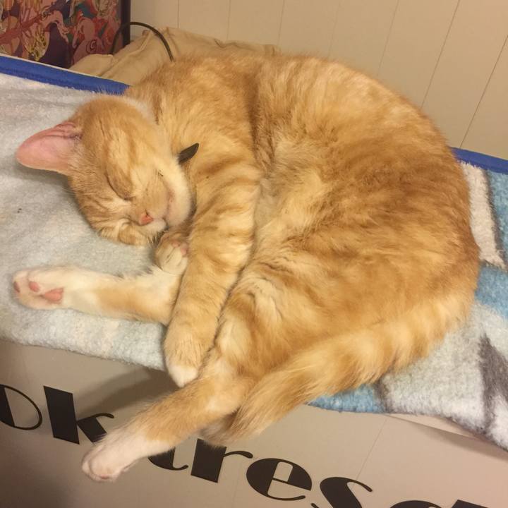 422e544e 8de2 465e 9a19 586e01329cc1 1559321194394