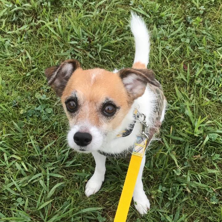 422f77c6 c6fa 4731 a976 f1b67c14cef8 1535875382760