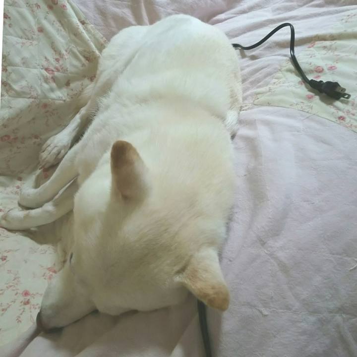 422f7c5a c3cd 4628 826b 9c49d5db5c30 1600348836773