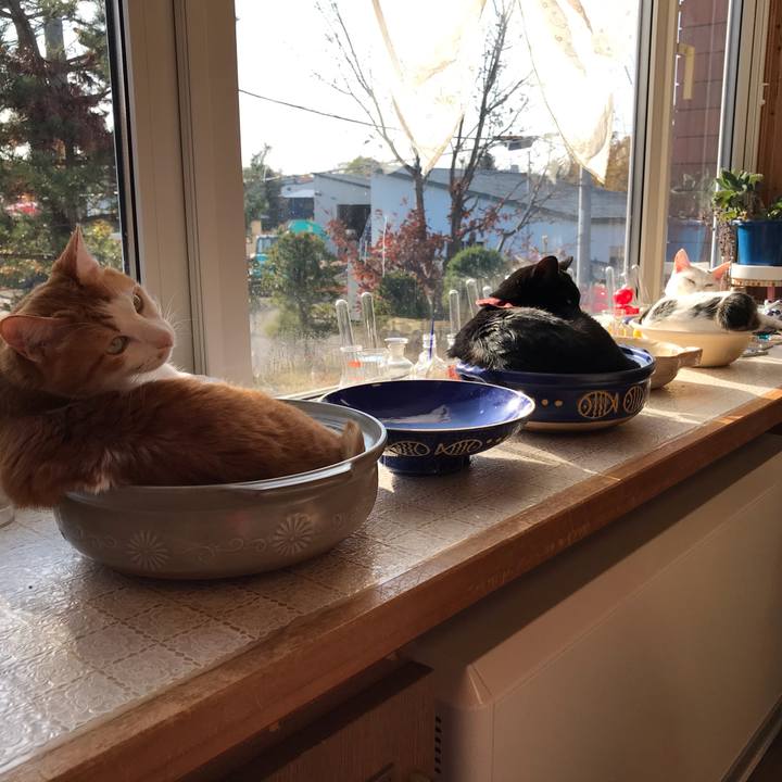 422f7f50 43e6 4097 8ad5 3895b5f2821c 1604707831454