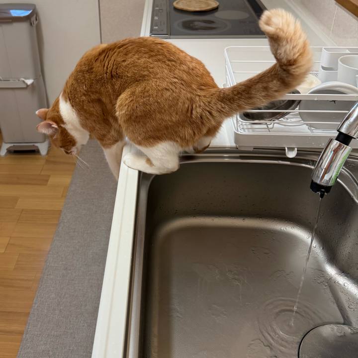 422f98e2 ac84 402e 9265 326c3c54223f 1765334582640