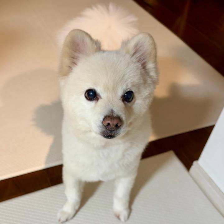 422fdf5e 3df1 4129 8396 a6c5108fc865 1773302756439