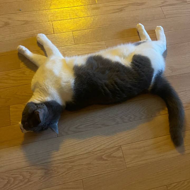 422ff8da 3417 41a9 9937 ac9610337241 1755302318070