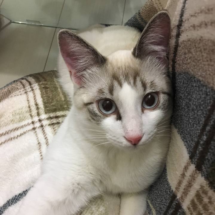 42300329 3fb0 4a3f 8bf3 35c4f4641ed2 1514898328625