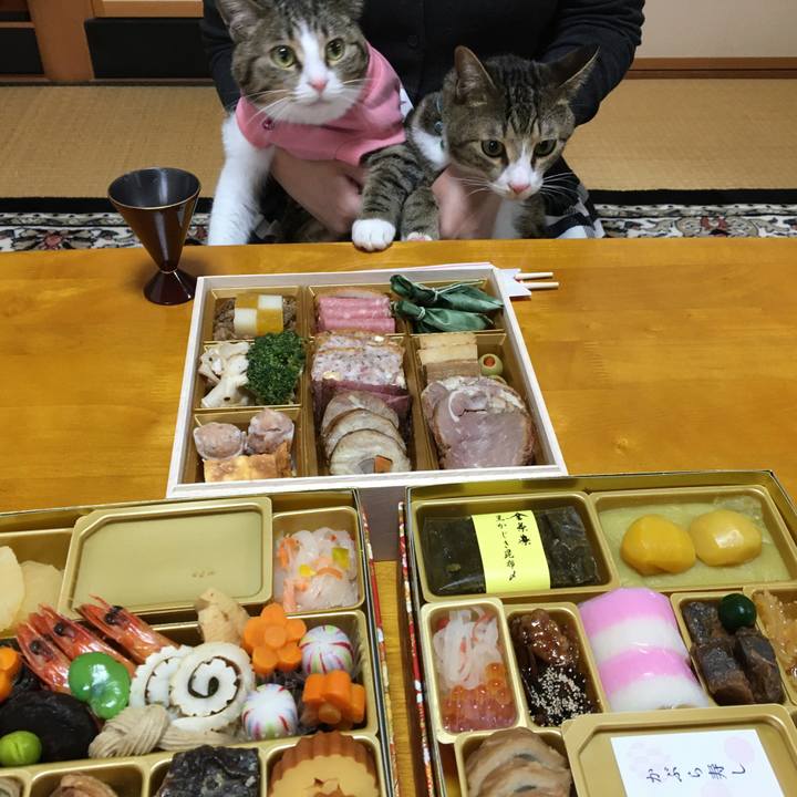 42304759 68bf 40dd 96e5 341949e9167e 1672543946813