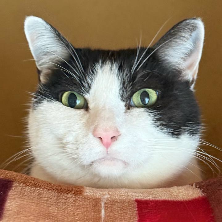 42309b38 eb40 45f1 bb8b bdd90a5c92ae 1772500091916