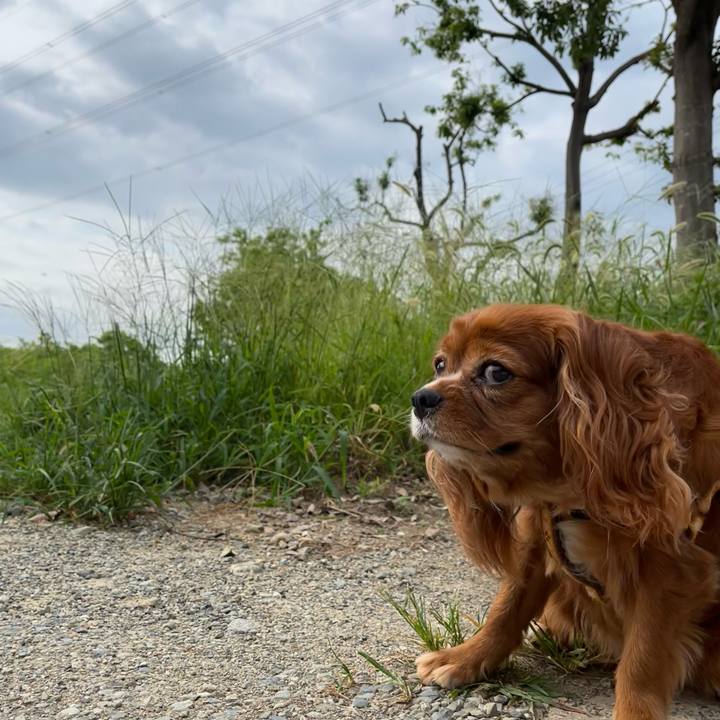 4230aec9 6b8f 48b1 aa8d 8e410f368173 1661642599893