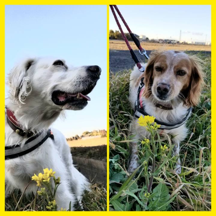 4230b836 b7aa 45a2 821f 8a881839977c 1677398393057