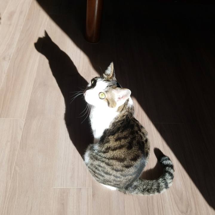 42311d7f dcdd 4fd9 91d2 98ee7b9350f5 1575073555829