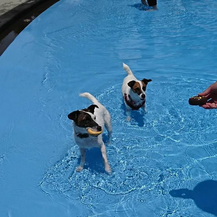 42312a99 2000 423e b6a0 a426cd668e2d 1530605533985