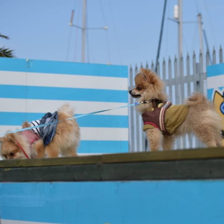 42312d76 3bed 416d 8c11 6b0c19a672b2 1520412256675