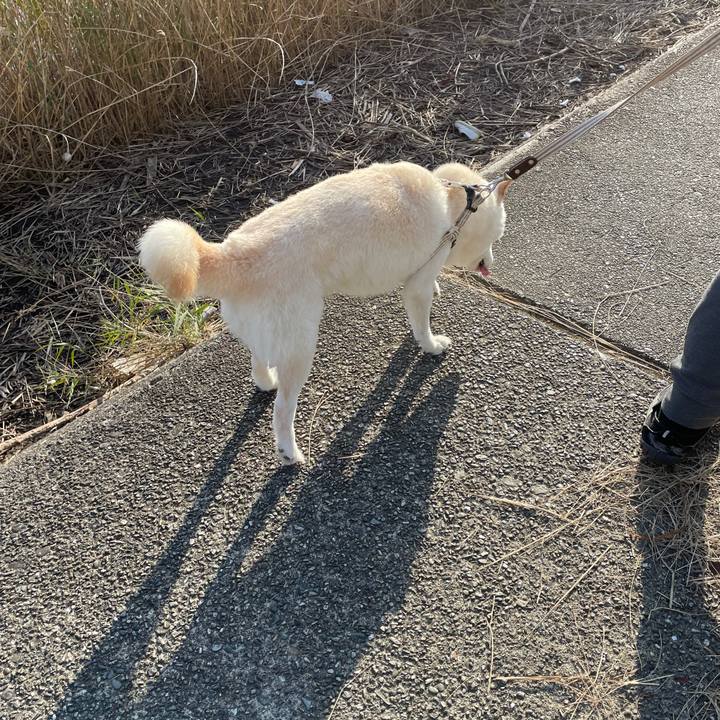 42314300 13ee 4b25 81f0 157d40e851f0 1637164652677