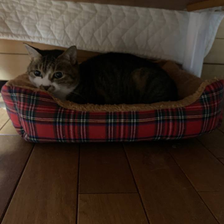 42316a39 4190 487d b91f a001a80bd294 1668026484019