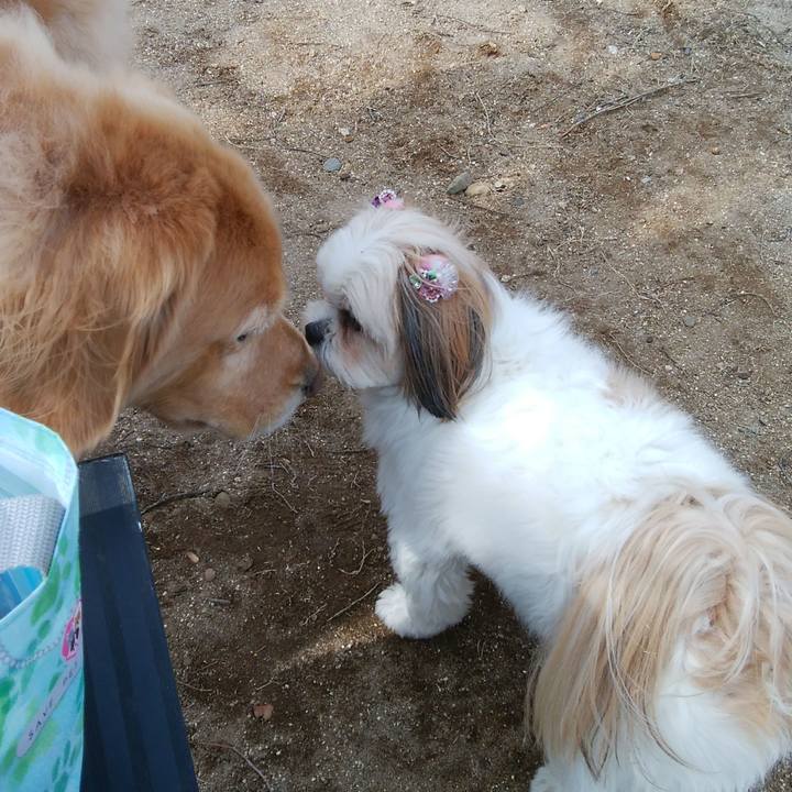 42316e95 c137 4bff b7ca 7458d9b27ece 1520749683188