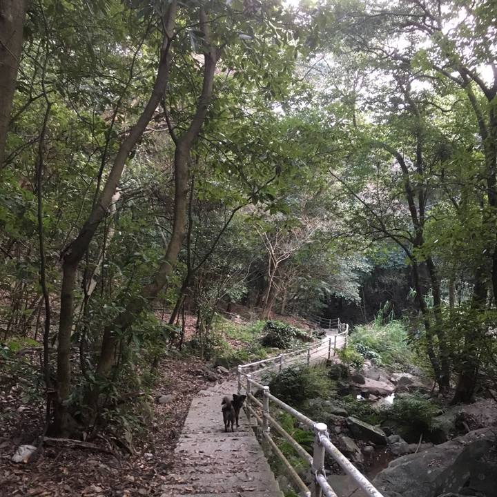 42318dcf b6b6 4044 b25a 879f2df1a266 1526169948079