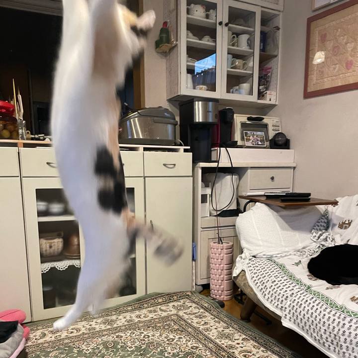 42319d44 28e1 4771 b1ab 6c0f85d4f1ec 1685696174905