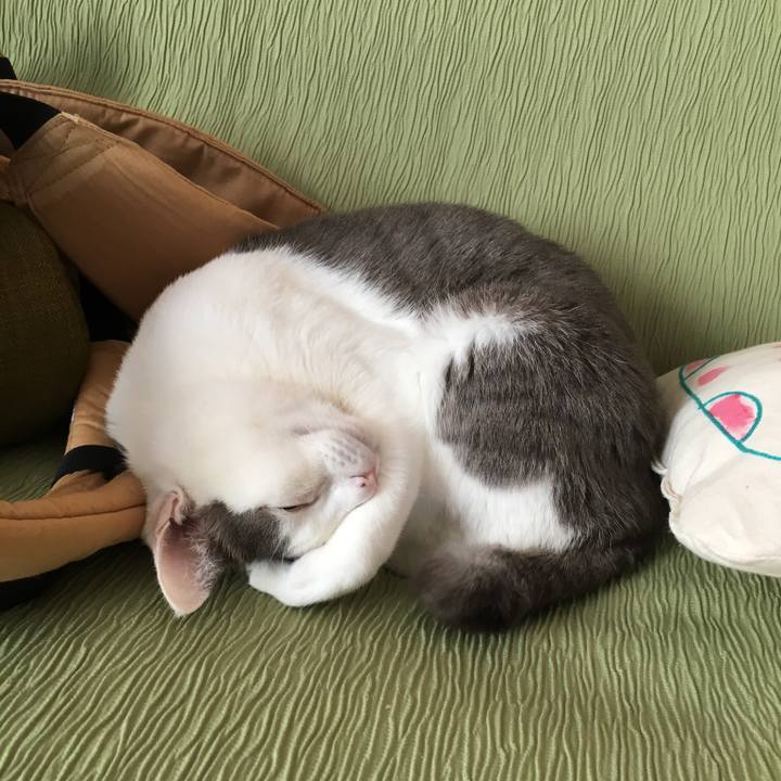 4231a51a 03d5 4c46 8c18 20f1c7cc2561 1524537220293