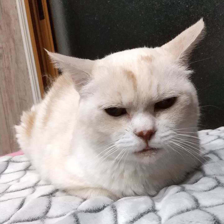 4231c36d f129 4d66 a295 dc9da7408818 1598790952625