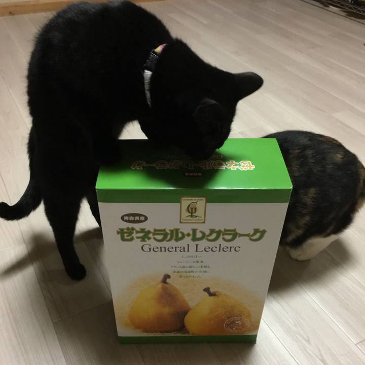 4231ca74 6396 4eff a5b4 48bd65a12aa6 1515154658543