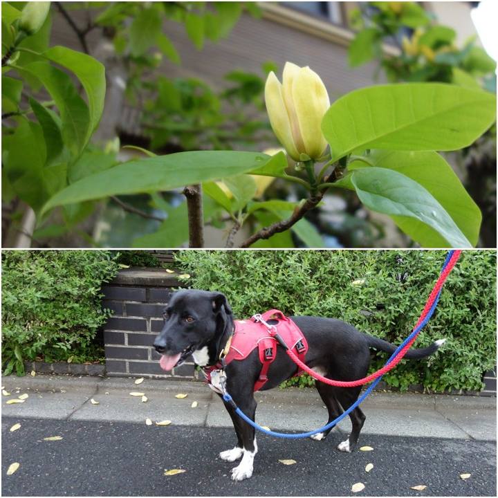 4231f511 3fe3 4870 b413 4bba8679e764 1588038409880