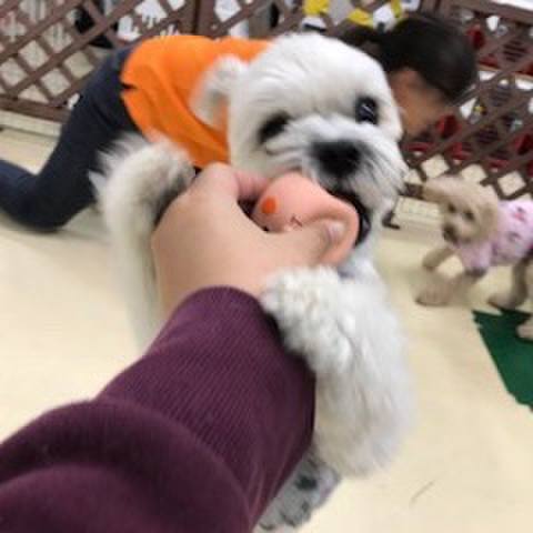 4231fbb1 7b1c 4bb4 aeb1 921baa0c526b 1511957563430