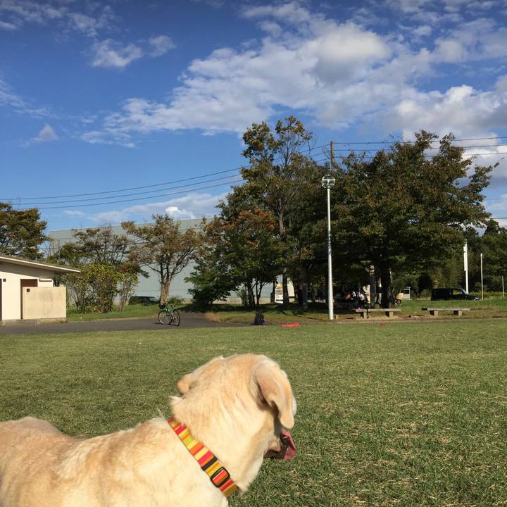 42322193 3133 4147 8d84 bf4f2d96d51f 1539498607034