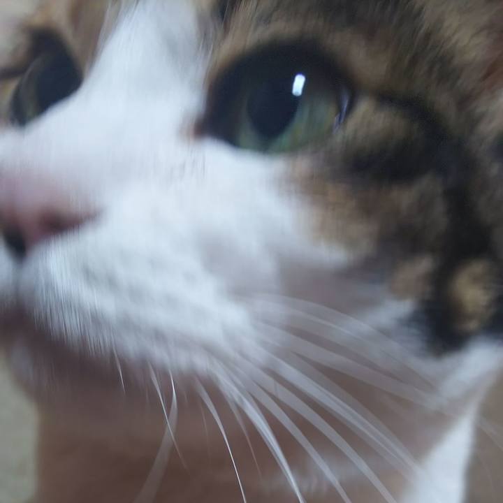 42329c16 b3bd 4bcf 92bf de1a03301723 1576290872955