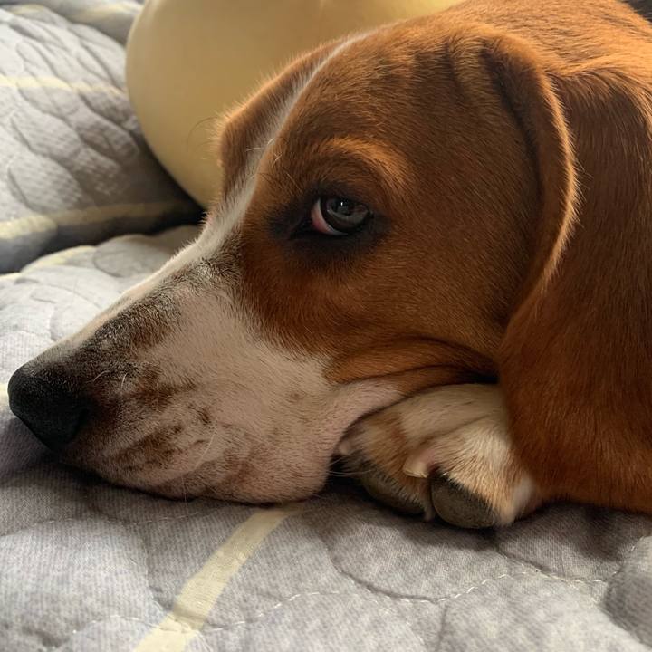 4232bc16 d61f 45d0 95d0 579f6d1c6924 1568036143138