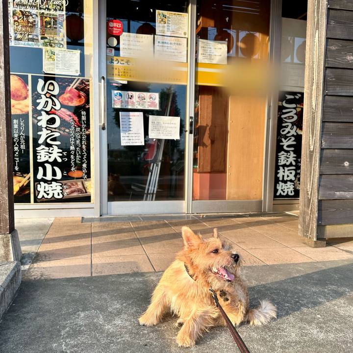 4232d1c9 15b4 406a 93d7 bc1518b046a5 1723081582247