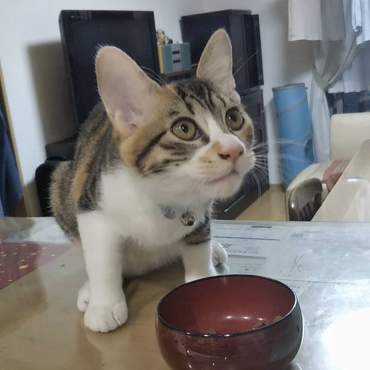 4232d735 7bc1 40ae 80ed abb938952ca3 1630190704592