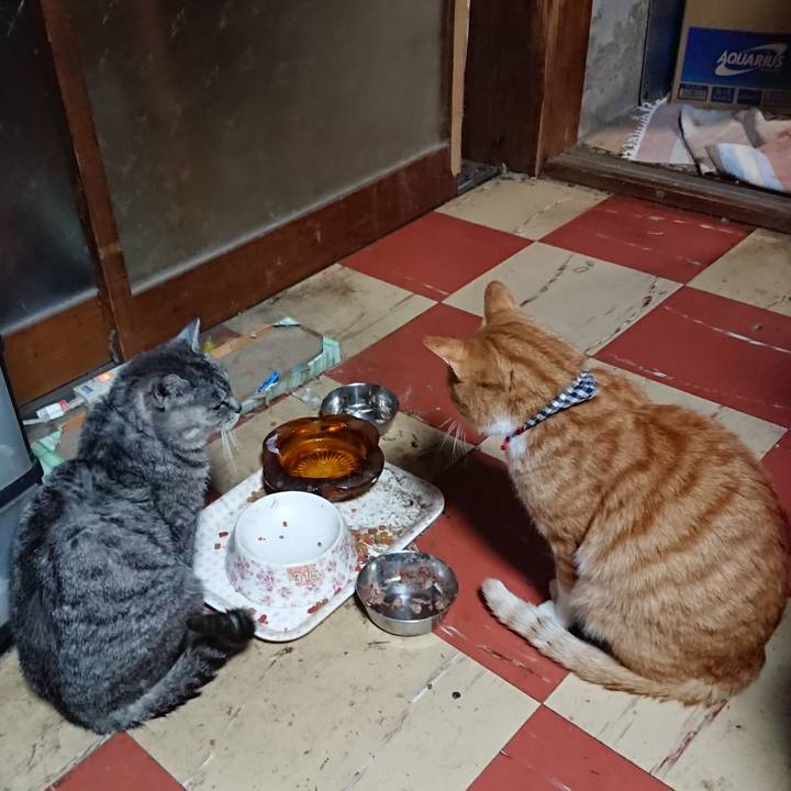 42331d7c e8cd 4ed0 a355 f6ca0574c92d 1572425921079