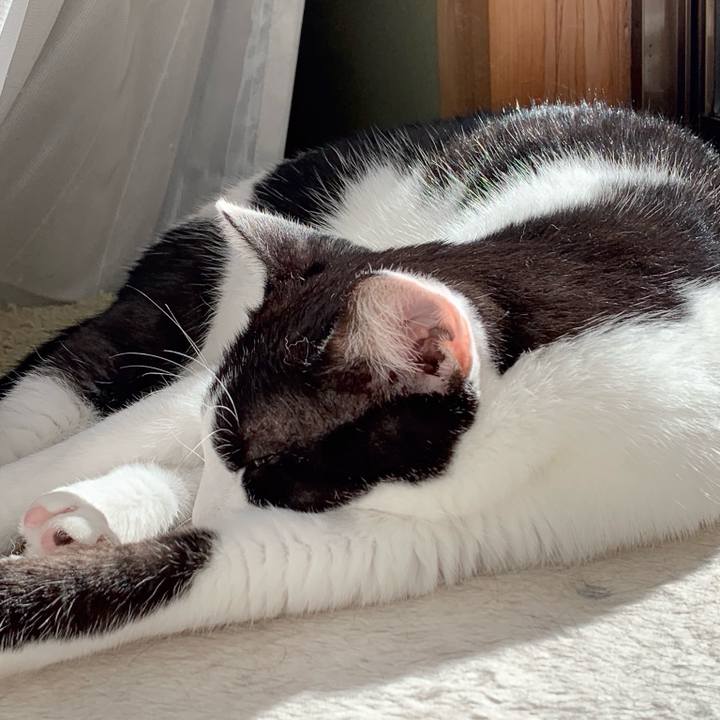 42336ed6 89aa 4ab3 9134 1d863b1ee68a 1538793607394