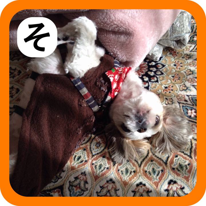 42337041 53d7 422e a1fd 097e2ae9ab1f 1515070286726