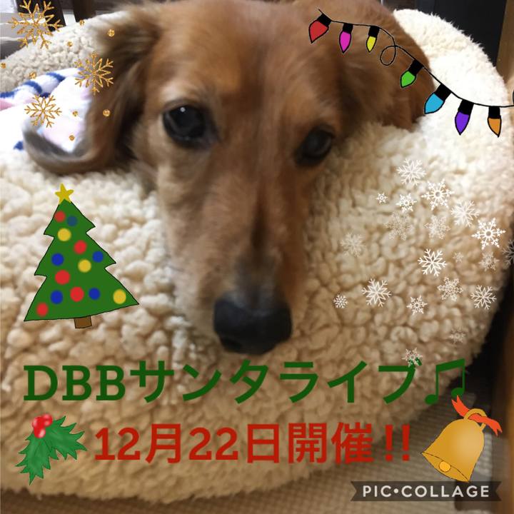 42339b53 01cf 44e6 a275 0a3cbe33155d 1576420413019