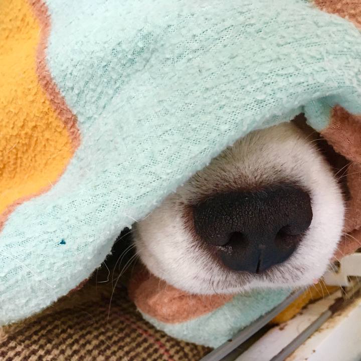 4233b14a 8273 4ce4 9e03 7a94b5c21eba 1765809099716