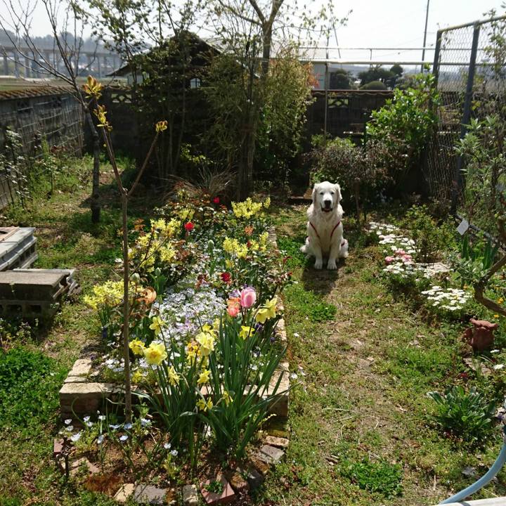 4233b18a e7dd 4927 a3bd 73e0dc81d281 1554527023226