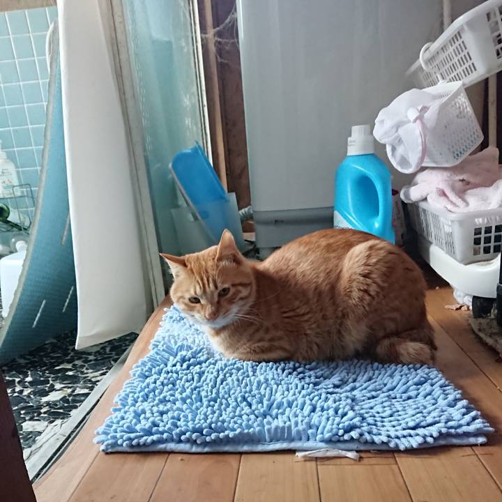 4233b613 9457 474f 802c 818ea78f855d 1650357927153