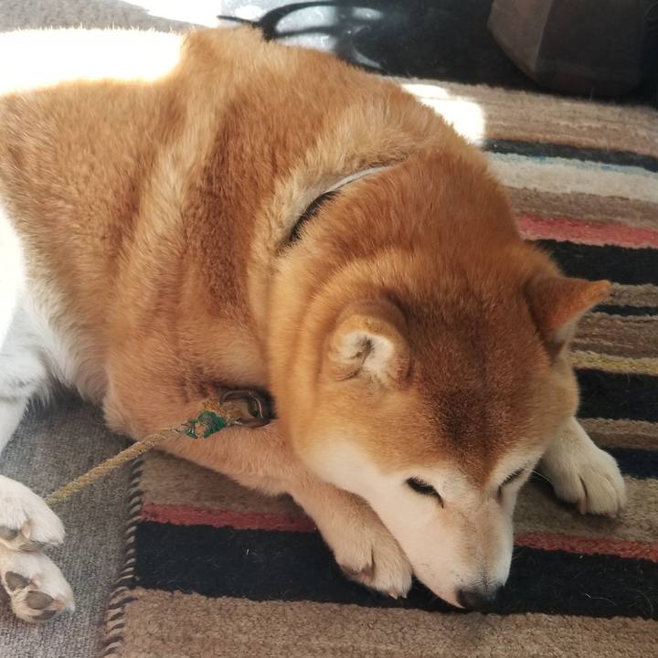 4233b688 0058 43e0 b66e 3352896a5d3c 1619392740107