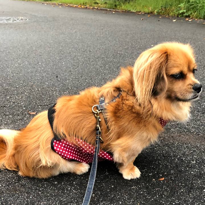 4233c6d0 7e1a 4a7f a891 2b508d40e9b4 1569015845876