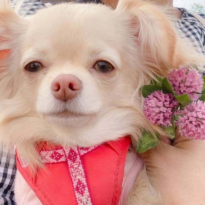 4233d329 aa91 40a1 b94c 4951a323e9d5 1619080353321