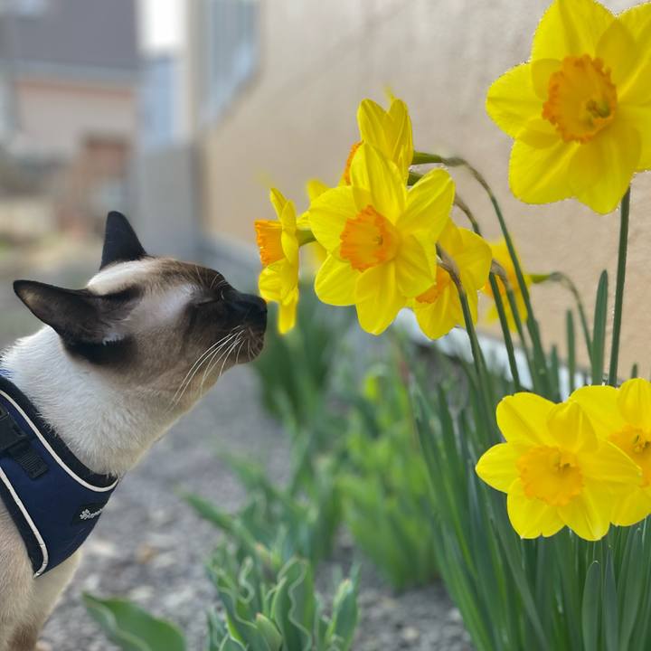 4233de32 89cf 4447 bd77 67380c4e24e6 1712996751947