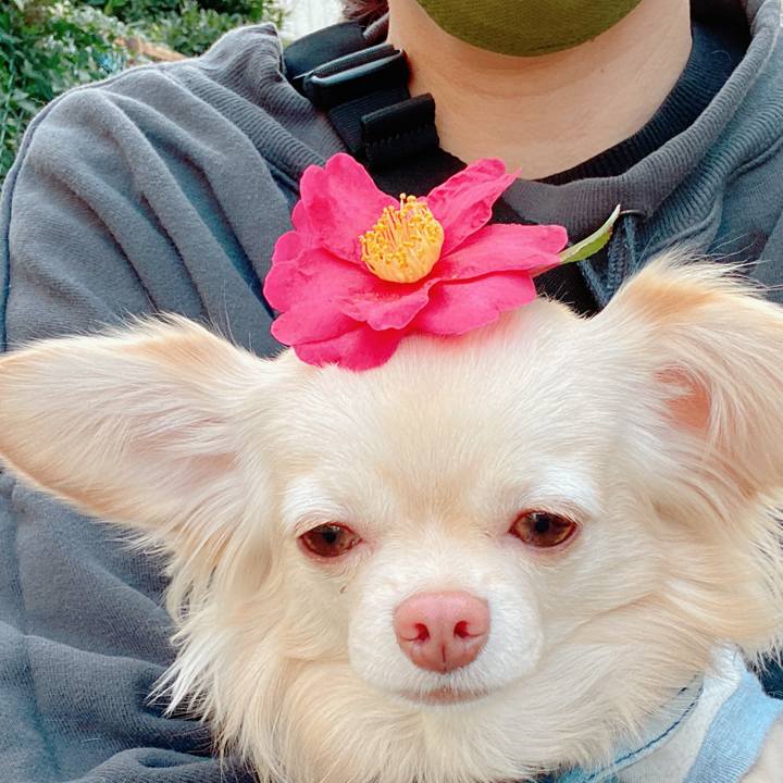 4233e5d6 068a 4592 a77d 4665a8af57a6 1644394701059