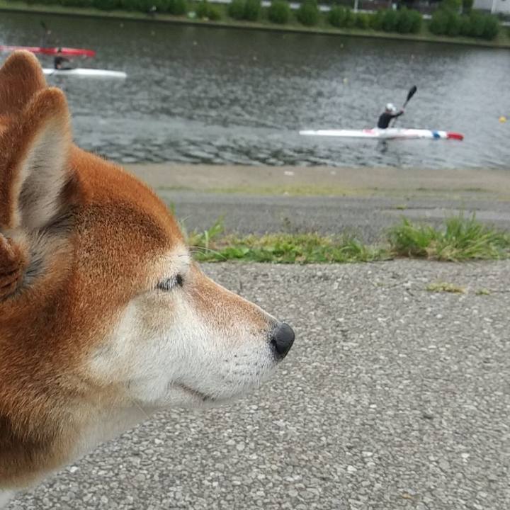 4233ea73 0ff5 4d4e 9888 726af3450205 1620706879111