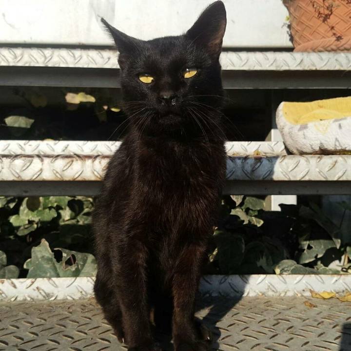 4233f21c 8735 4579 9874 d2b8b38a2e8e 1510884842615