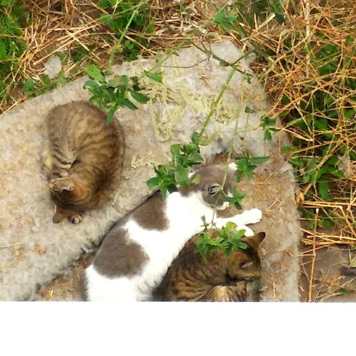 4234295d 9bdf 45c2 955b bd8110355822 1522569215926